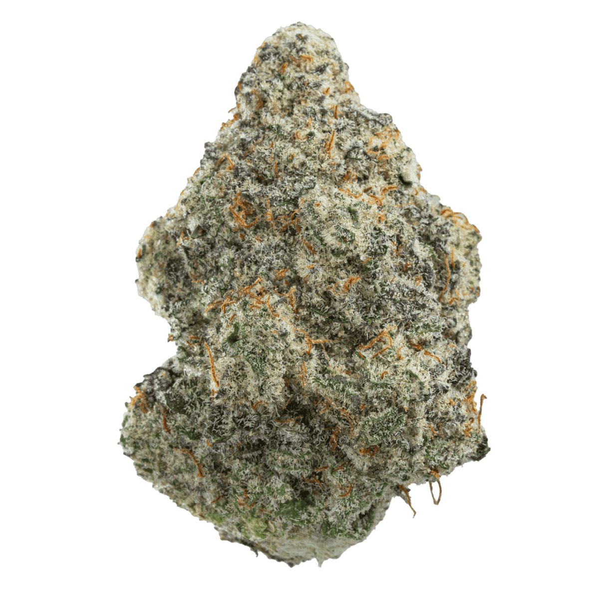 MAC-1-Full-NUG.png